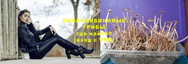 a pvp Алексеевка